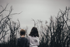 Foto: Pexels / Pixabay