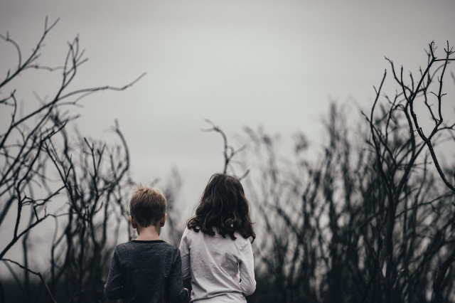 Foto: Pexels / Pixabay